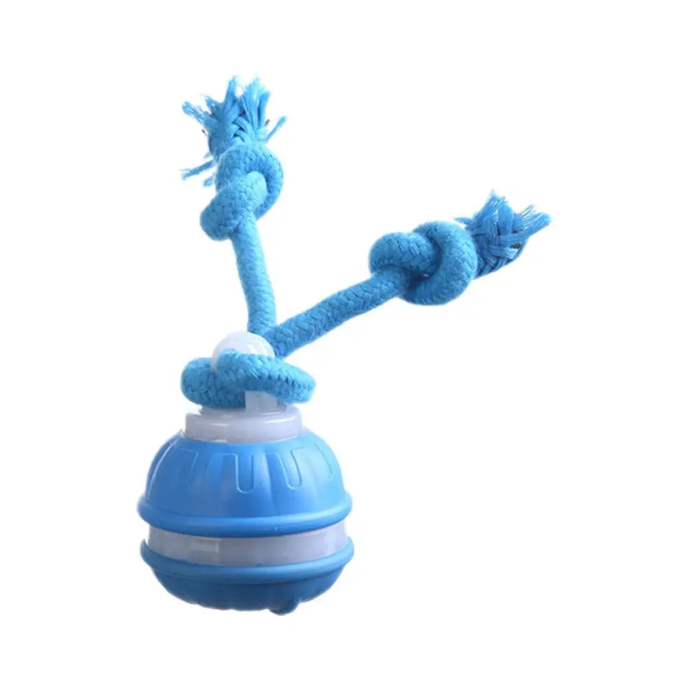 Pet Ball Interactive Toys for Dogs Motion Activate Rolling Ball for Puppy/Small Dogs Automatic Moving Toy USB Rechargeable Toy