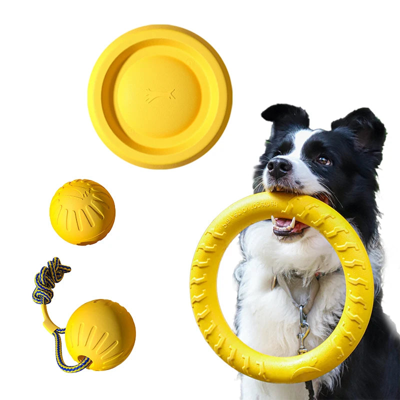 Flying Disc + Ball + Tug Rope