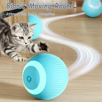 Smart Dog Toys Ball