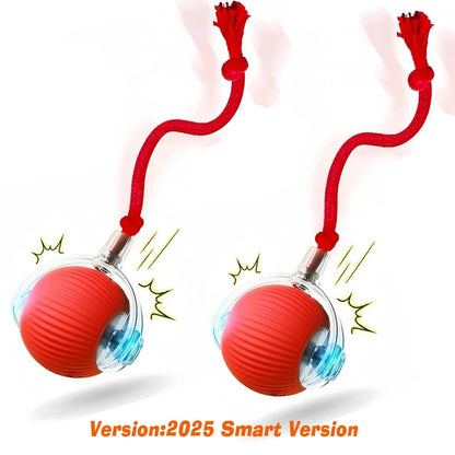 Ball Toy,Automatic Rolling