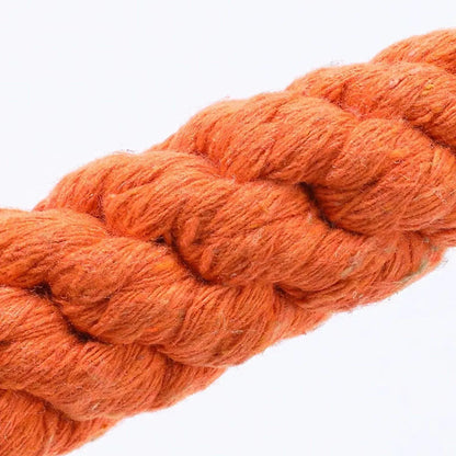 Carrot Dog Bite Rope