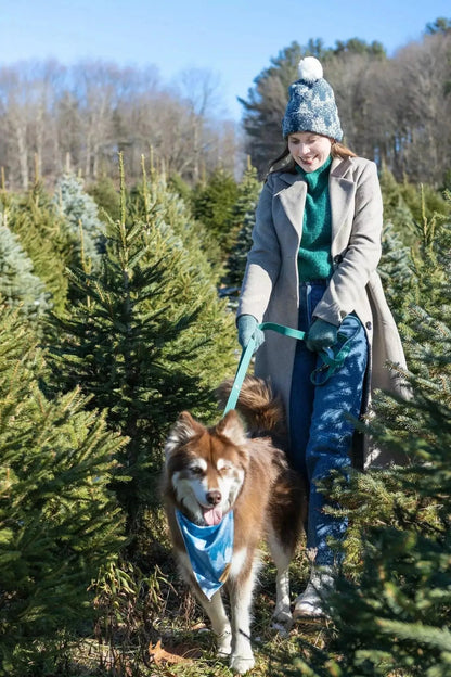 Siberian Spruce Dog Bandana &amp; Matching Keychain