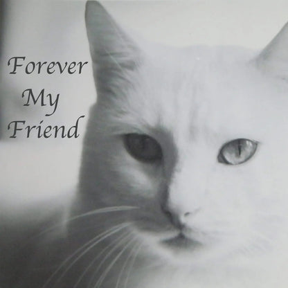 Stainless Steel Pet Memorial Urn for Cats &amp; Small Dogs with Secure Lid Keepsake