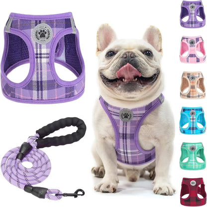 Step-In Dog Harness &amp; Leash Set in Various Patterns – Reflective No Pull (XS- XL)