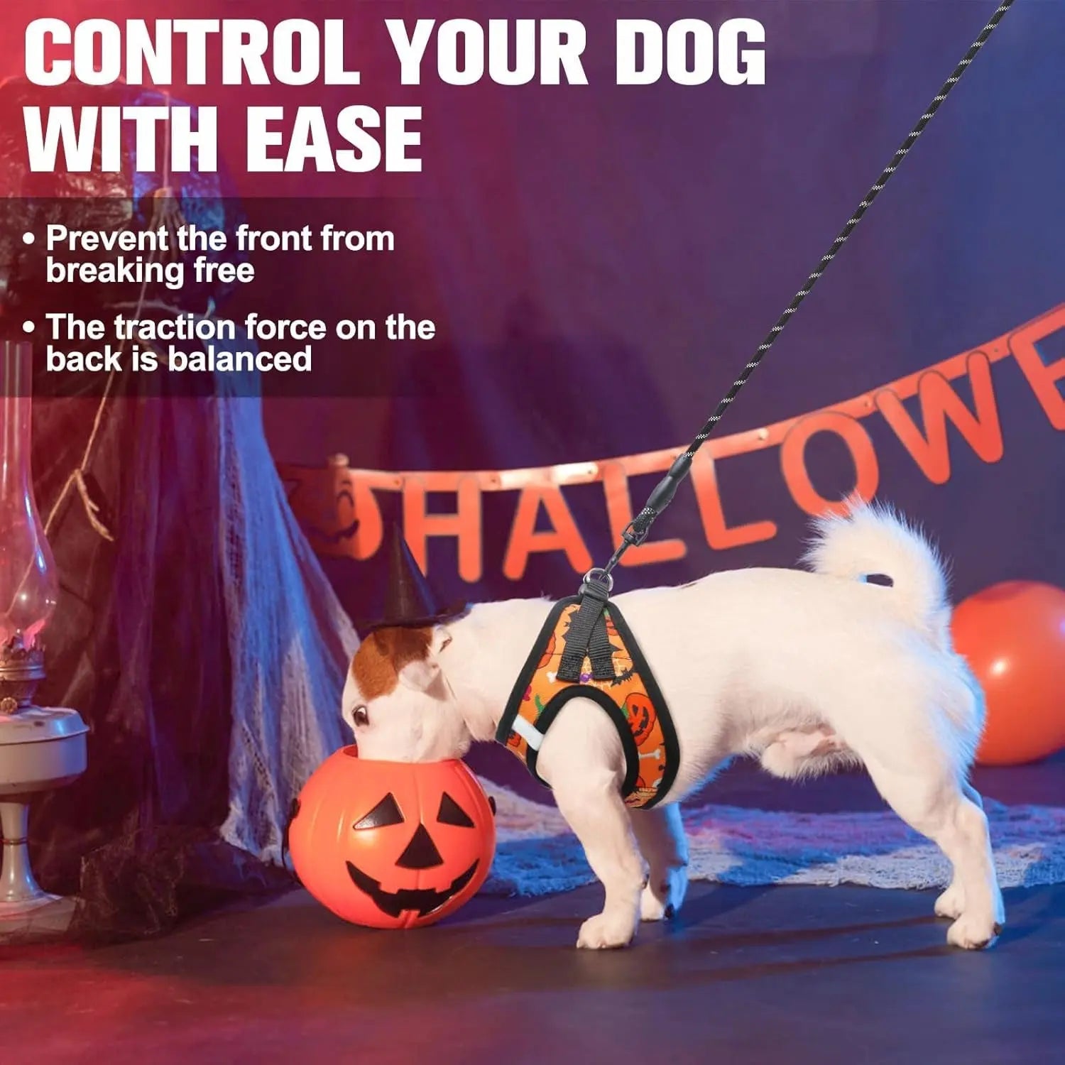Step-In Dog Harness &amp; Leash Set in Various Patterns – Reflective No Pull (XS- XL)