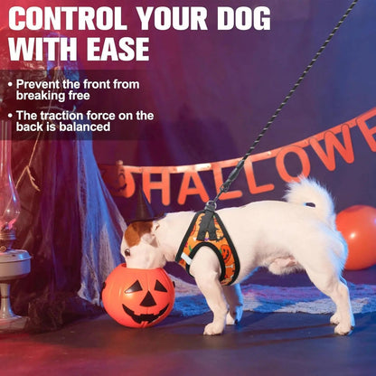 Step-In Dog Harness &amp; Leash Set in Various Patterns – Reflective No Pull (XS- XL)