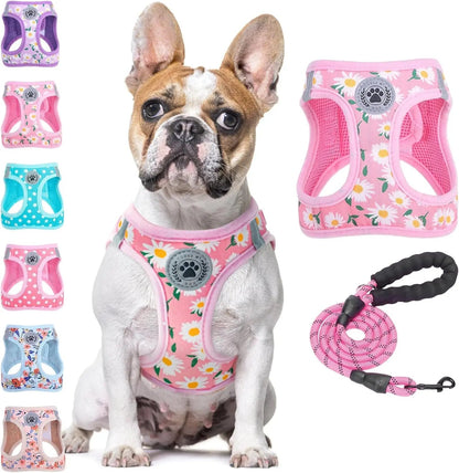 Step-In Dog Harness &amp; Leash Set in Various Patterns – Reflective No Pull (XS- XL)