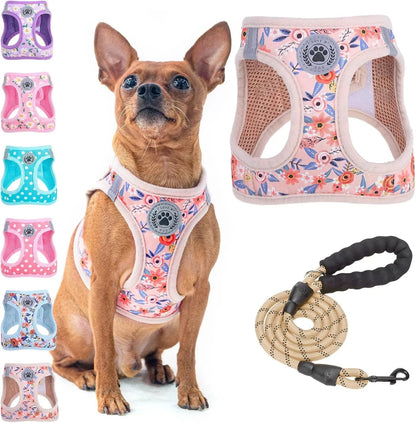 Step-In Dog Harness &amp; Leash Set in Various Patterns – Reflective No Pull (XS- XL)