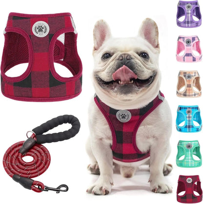 Step-In Dog Harness &amp; Leash Set in Various Patterns – Reflective No Pull (XS- XL)