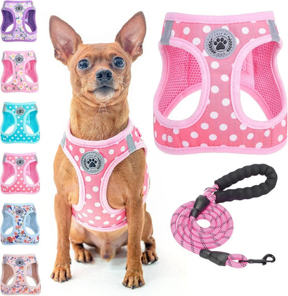 Step-In Dog Harness &amp; Leash Set in Various Patterns – Reflective No Pull (XS- XL)