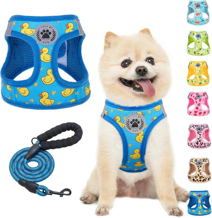 Step-In Dog Harness &amp; Leash Set in Various Patterns – Reflective No Pull (XS- XL)