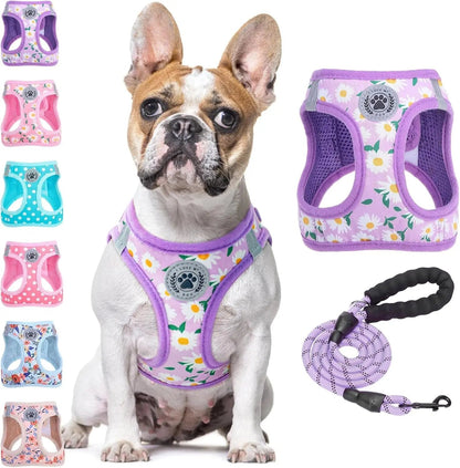 Step-In Dog Harness &amp; Leash Set in Various Patterns – Reflective No Pull (XS- XL)