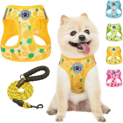 Step-In Dog Harness &amp; Leash Set in Various Patterns – Reflective No Pull (XS- XL)