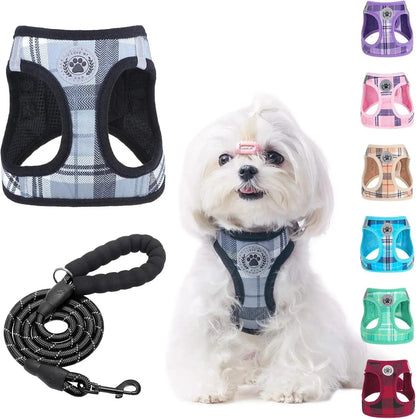 Step-In Dog Harness &amp; Leash Set in Various Patterns – Reflective No Pull (XS- XL)