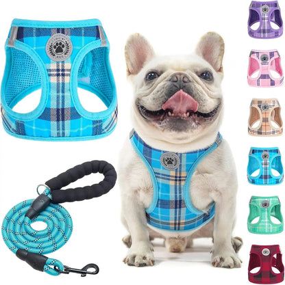 Step-In Dog Harness &amp; Leash Set in Various Patterns – Reflective No Pull (XS- XL)