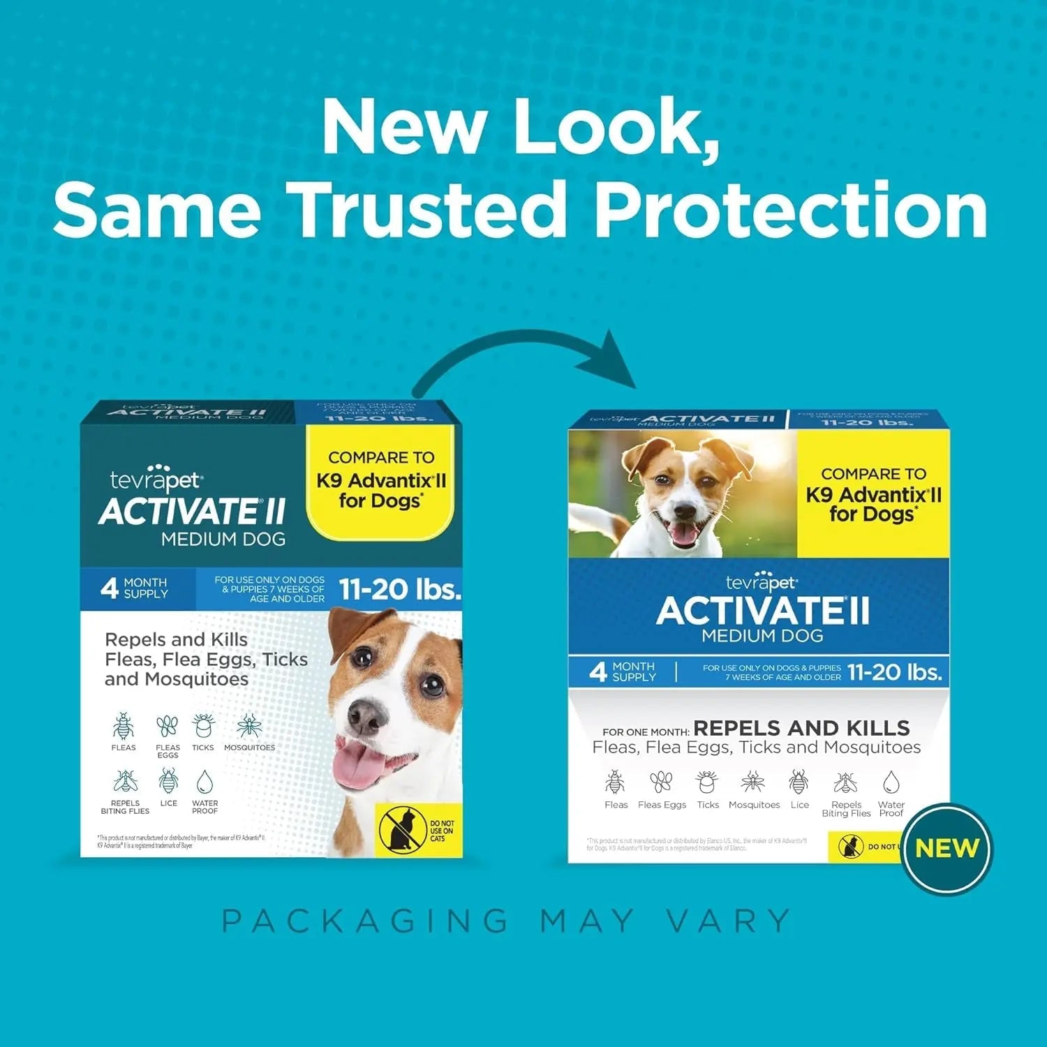 TevraPet Activate II Flea &amp; Tick for Dogs 11–20 lbs – 4 Month Supply