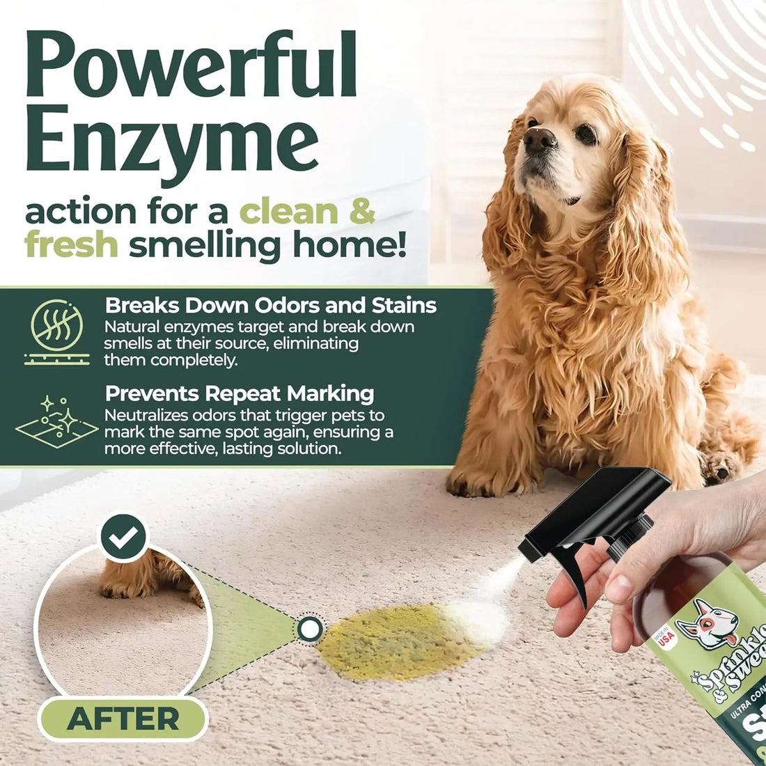 Urine Destroyer Enzyme Cleaner Spray for Dog &amp; Cat Stains 24oz