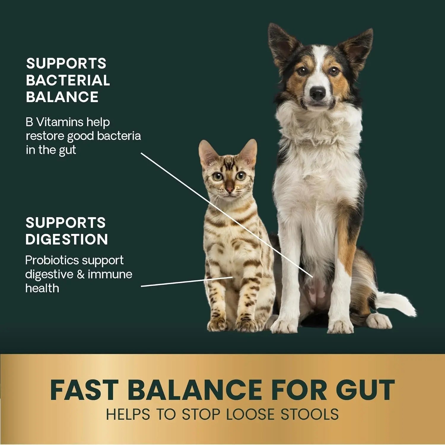 VetriScience Quick Action Diarrhea Aid Paste for Dogs &amp; Cats, 35cc