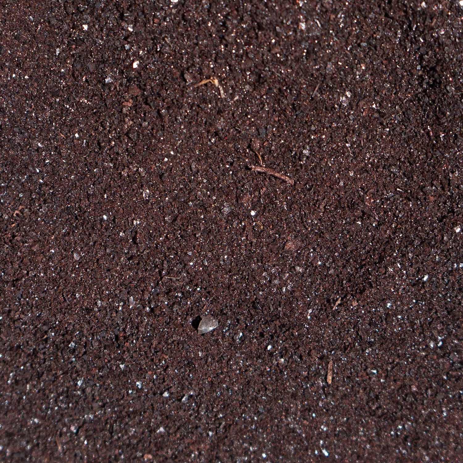 Freeze-Dried Beef Blood | Meal Topper