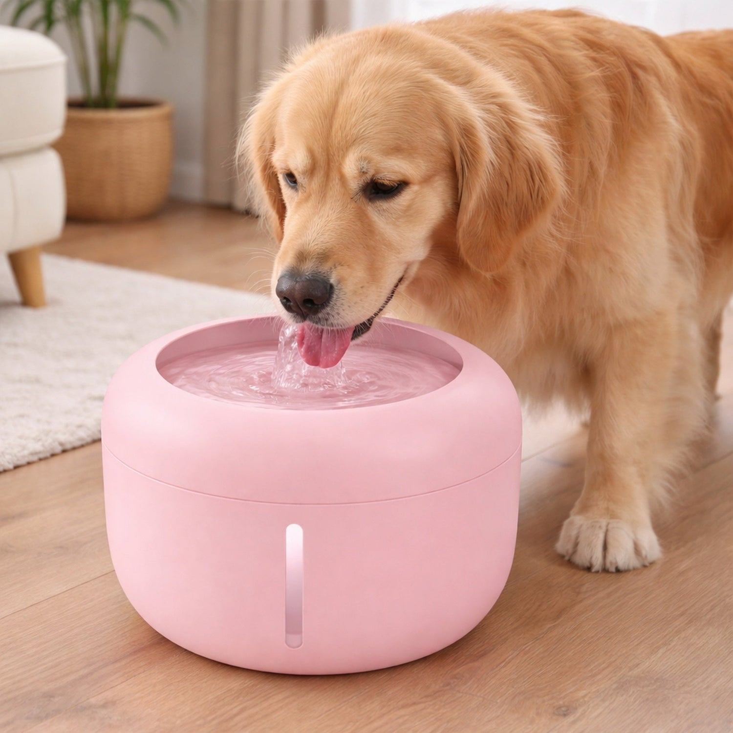 Pet Life ® &