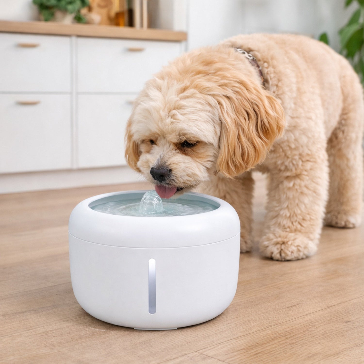 Pet Life ® &