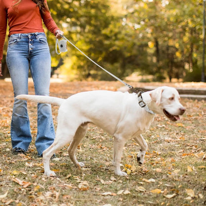 Waterproof Dog Collar &amp; 4FT Leash Set Adjustable XS–XL with Poop Bag