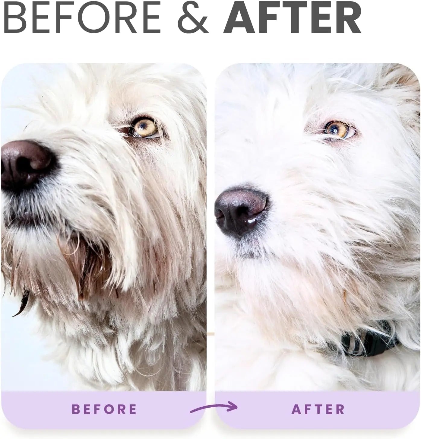 Whitening Dog Shampoo &amp; Leave-In Conditioner Detangler Odor Control Set