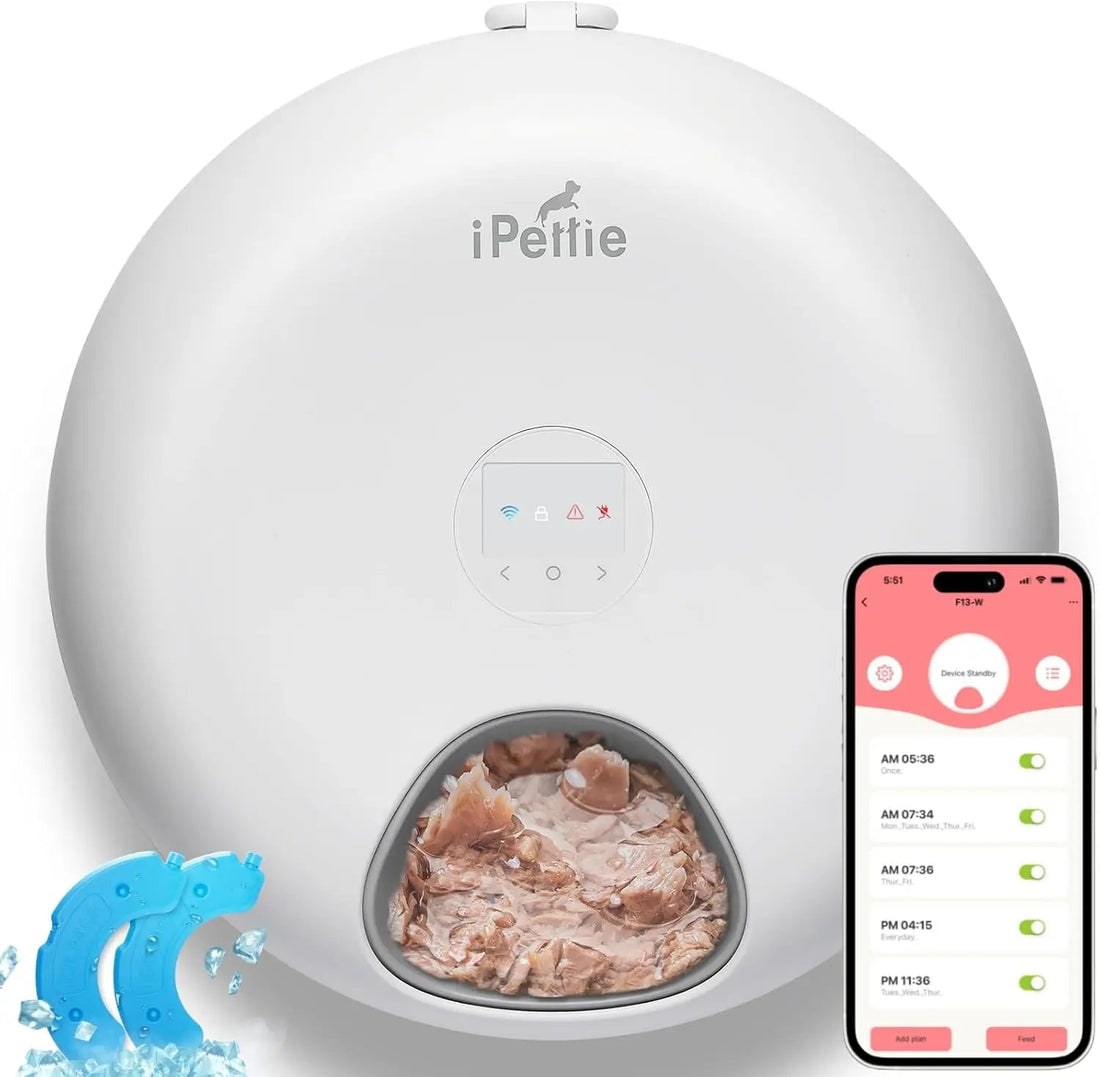 WiFi 6 Smart Cat &amp; Small Dog Feeder with App Control, Wet &amp; Dry Food, Ice Packs