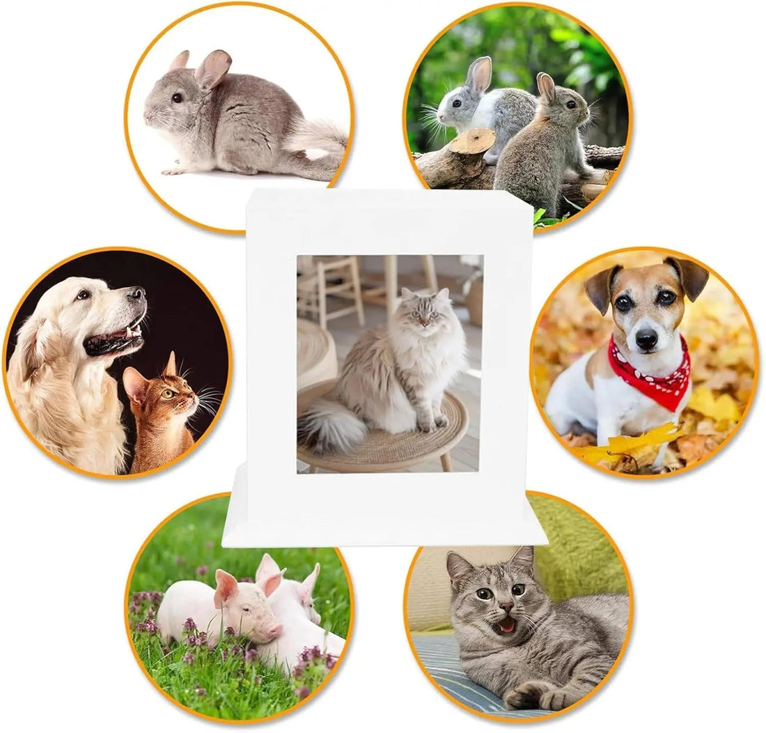 Wooden Pet Memorial Urn with Photo Frame Keepsake Box for Dogs &amp; Cats
