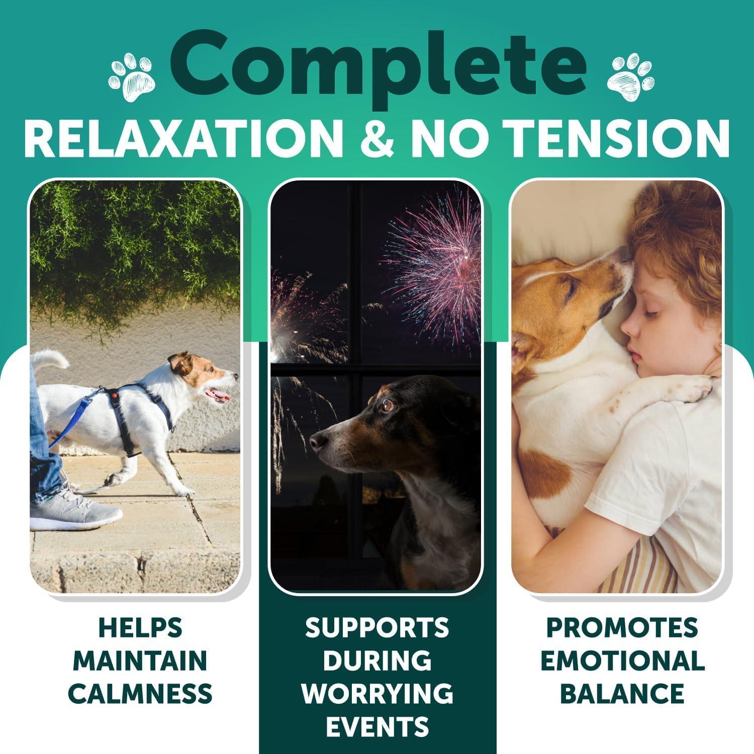 Calming Chews for Dogs 120 Count Anxiety Relief Turmeric &amp; Valerian