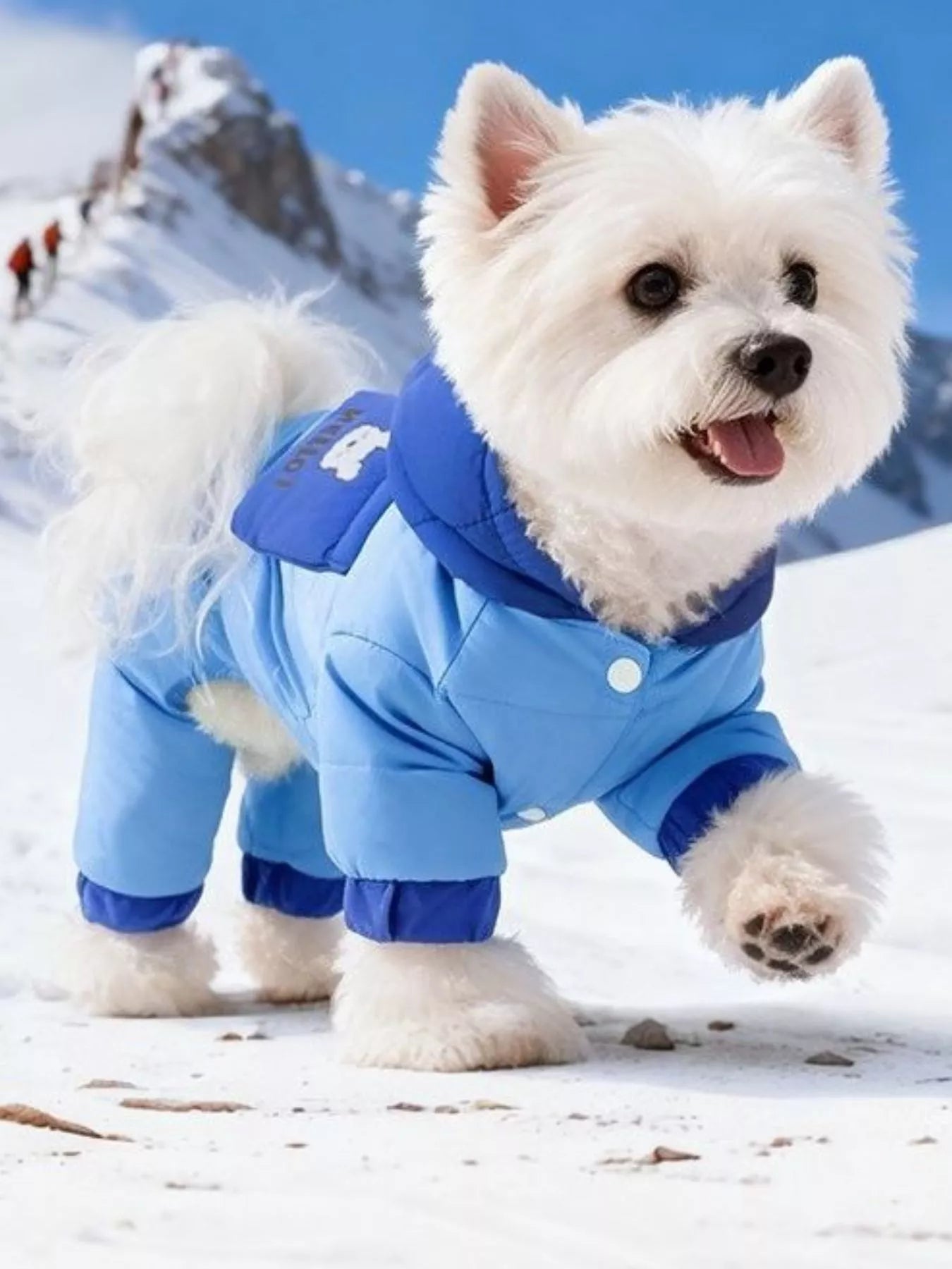 Color Block Warm Pet Jumpsuit