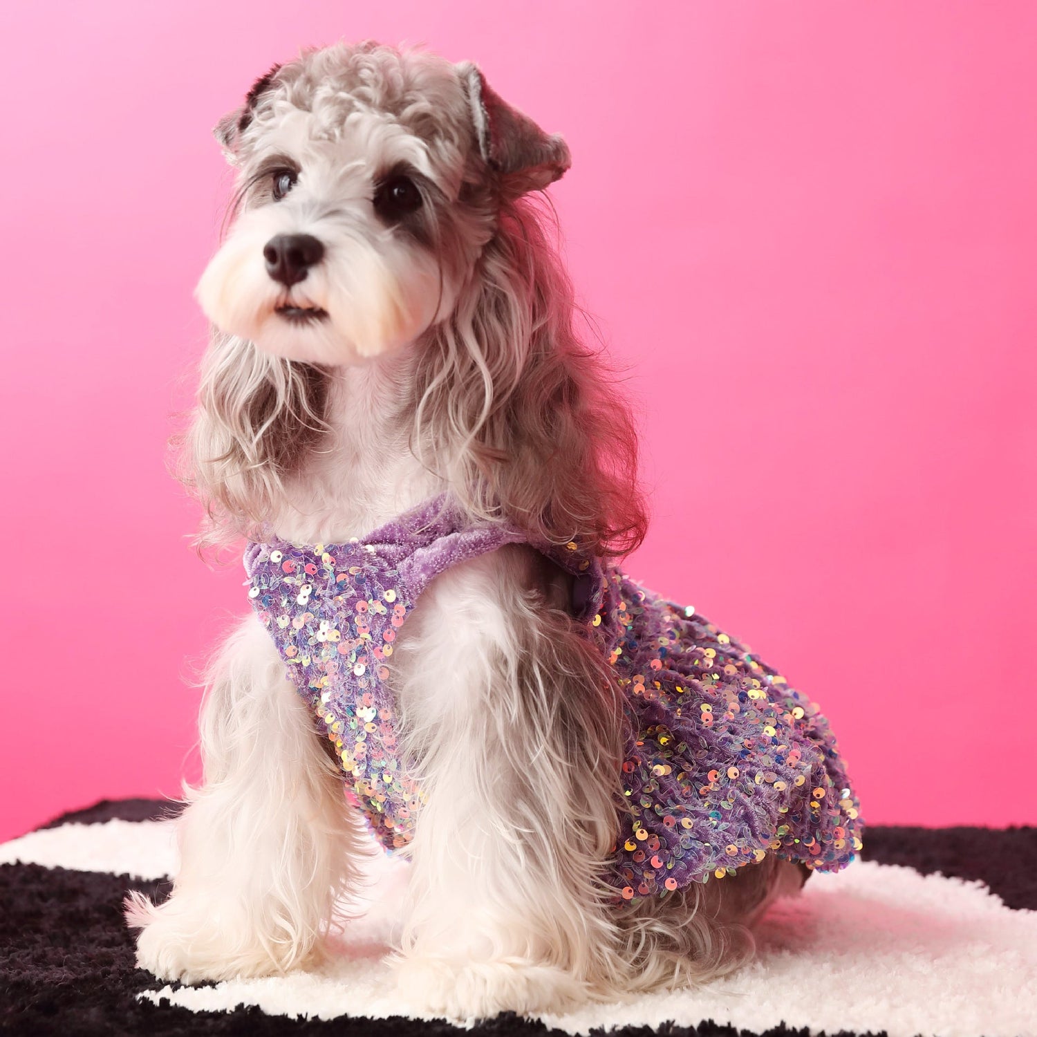 Female Dog Clothes Autumn Dress Velvet Sequins