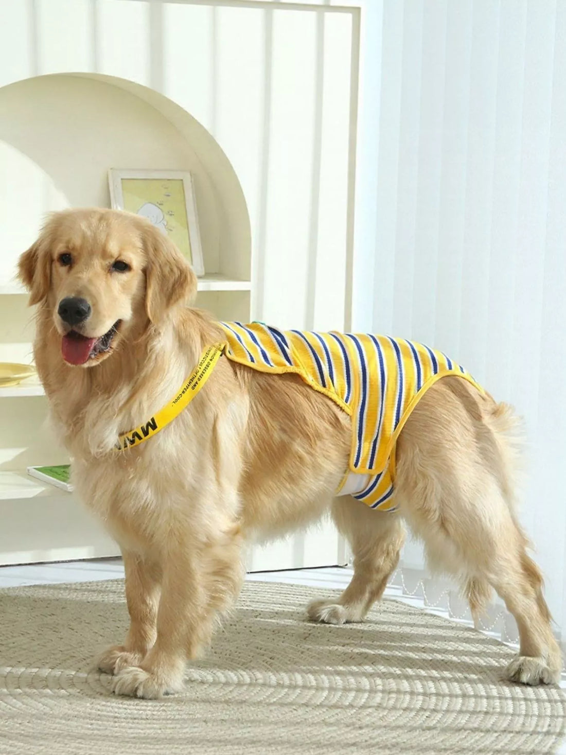 Striped Physiological Pet Functional Clothing