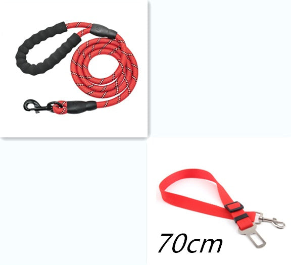 Reflective Dog Leash with Foam Handle — Single &amp; Set Options