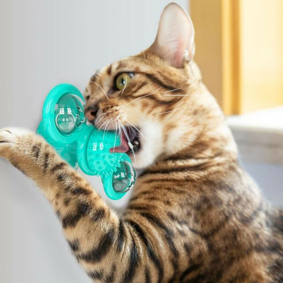 New Windmill Cat Toys Cute Rotating Interactive Cat Toy - Indoor Windmill Cat Toy With Suction Cup Catnip &amp; Jagged Teeth Middle Ball, Smart Kitten Rotating Spinner Exercise Toy, Toothbrush &amp; Massager