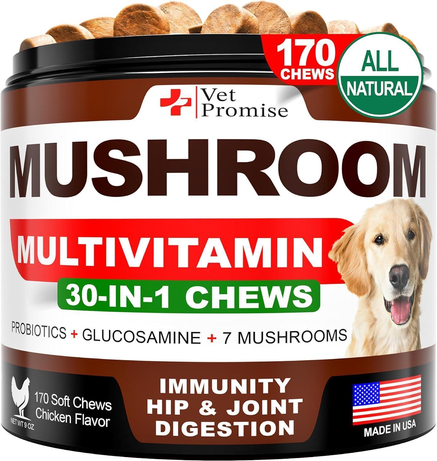 Mushroom Chews for Dogs 170 Count Turkey Tail Lion&