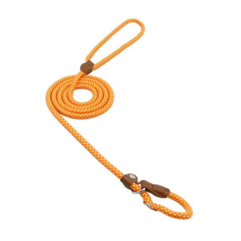 Nylon Pup Set – Premium Dog Collar &amp; Leash | Reinforced Stitching, Soft Adjustable Fit &amp; Modern Style