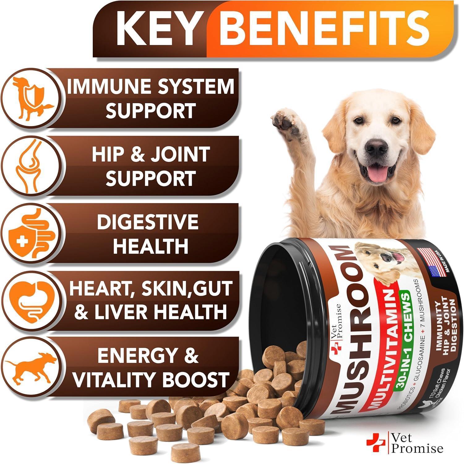 Mushroom Chews for Dogs 170 Count Turkey Tail Lion&