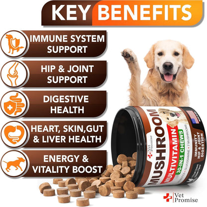 Mushroom Chews for Dogs 170 Count Turkey Tail Lion&