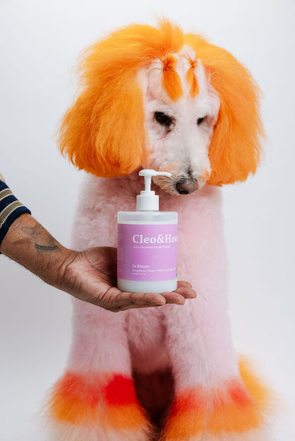 In Bloom (Dog Shampoo &amp; Conditioner Duo)