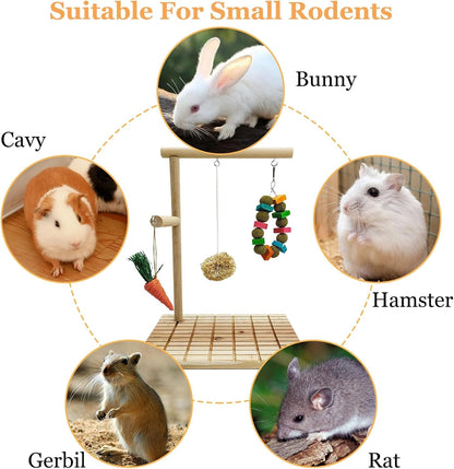 Rabbit Chew Toys Scratch Board Bunny Teeth Grinding Toy Set Small Pet
