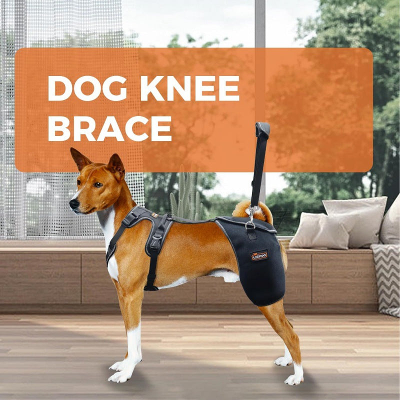 Pet Dog Hip Joint Knee Support Brace Comfortable And Breathable Chest Harness