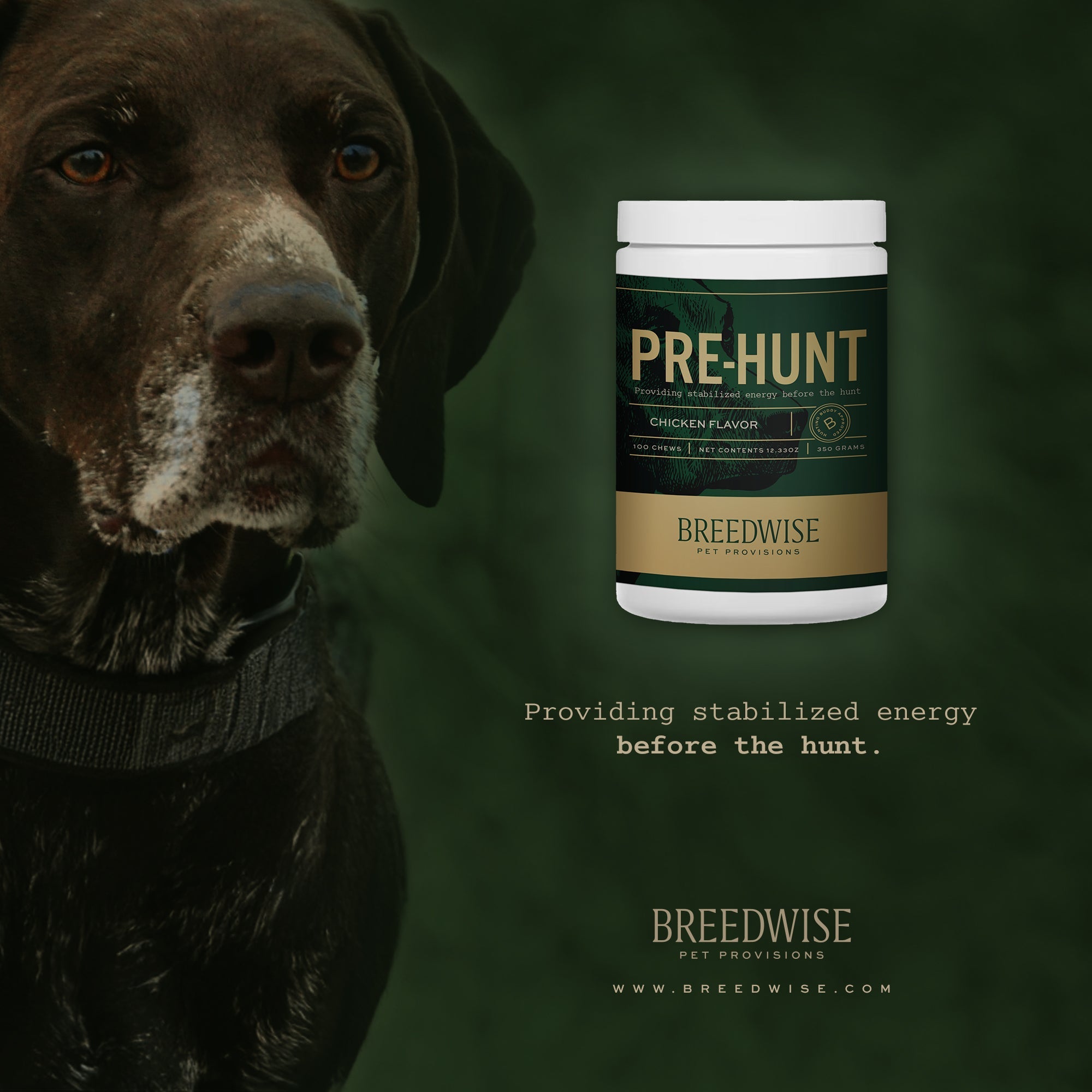 Breedwise Pre &amp; Post-HUNT Soft Dog Chews -  Bundle
