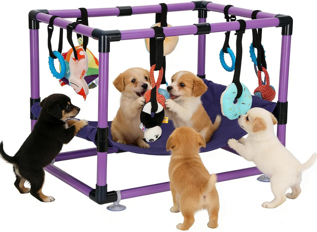 Indoor Puppy Play Gym with Hammock 8 Toys Dog Enrichment Activity Center