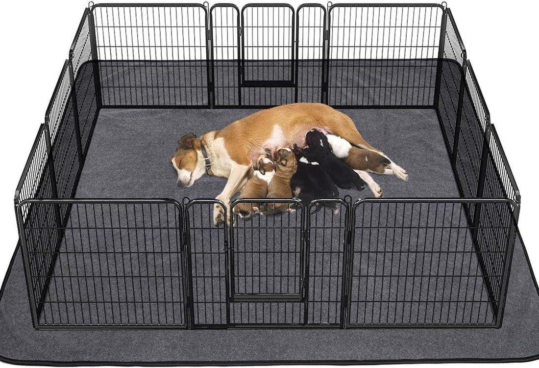 Washable Pee Pads for Dogs