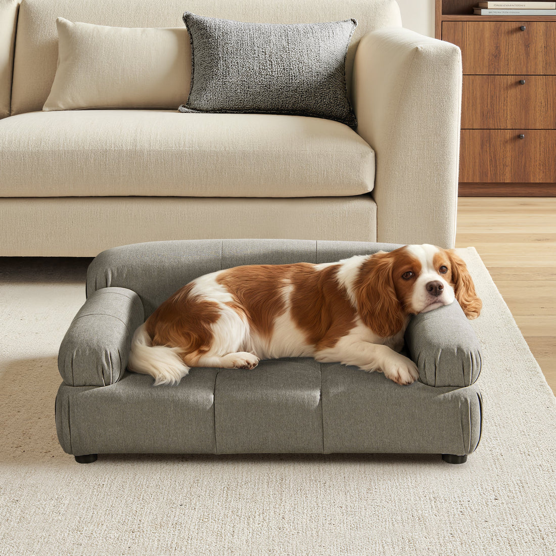 Marcel Upholstered Modern Pet Bed, Small to Medium Dog or Cat Uptown Gray Performance Velvet