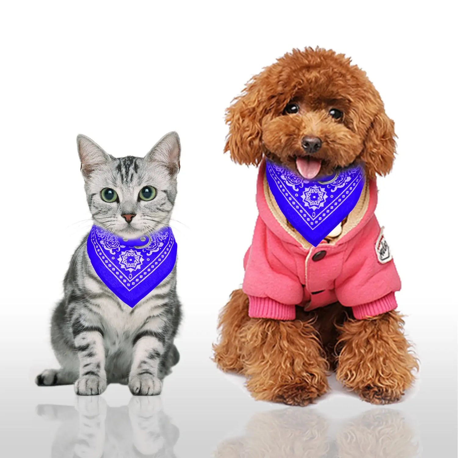 Adjustable Bandana Pet Collar Leather Triangle Scarf