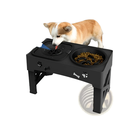 Adjustable Double Stainless Steel Pet Feeder Bowl