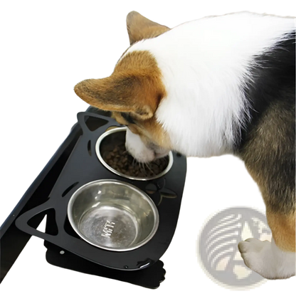 Adjustable Elevated Double Stainless Steel Pet Bowl