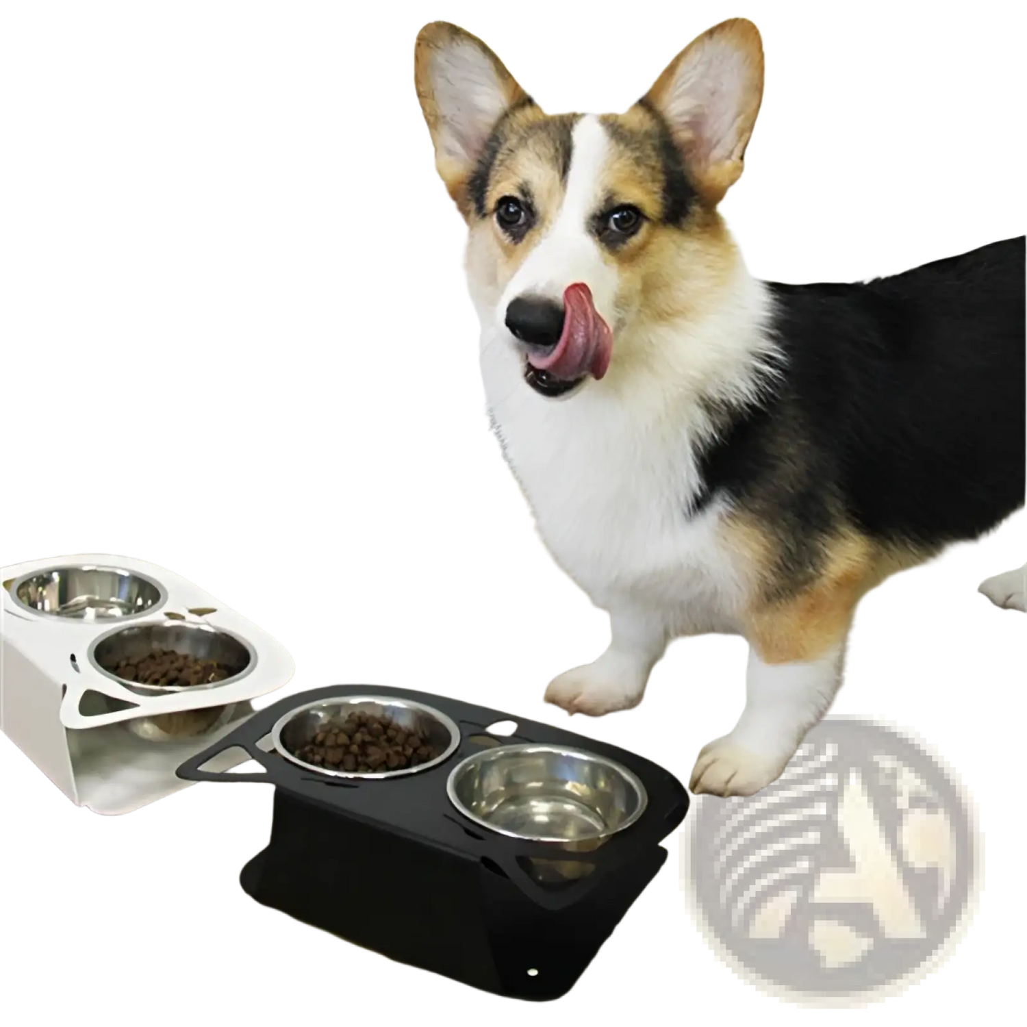 Adjustable Elevated Double Stainless Steel Pet Bowl